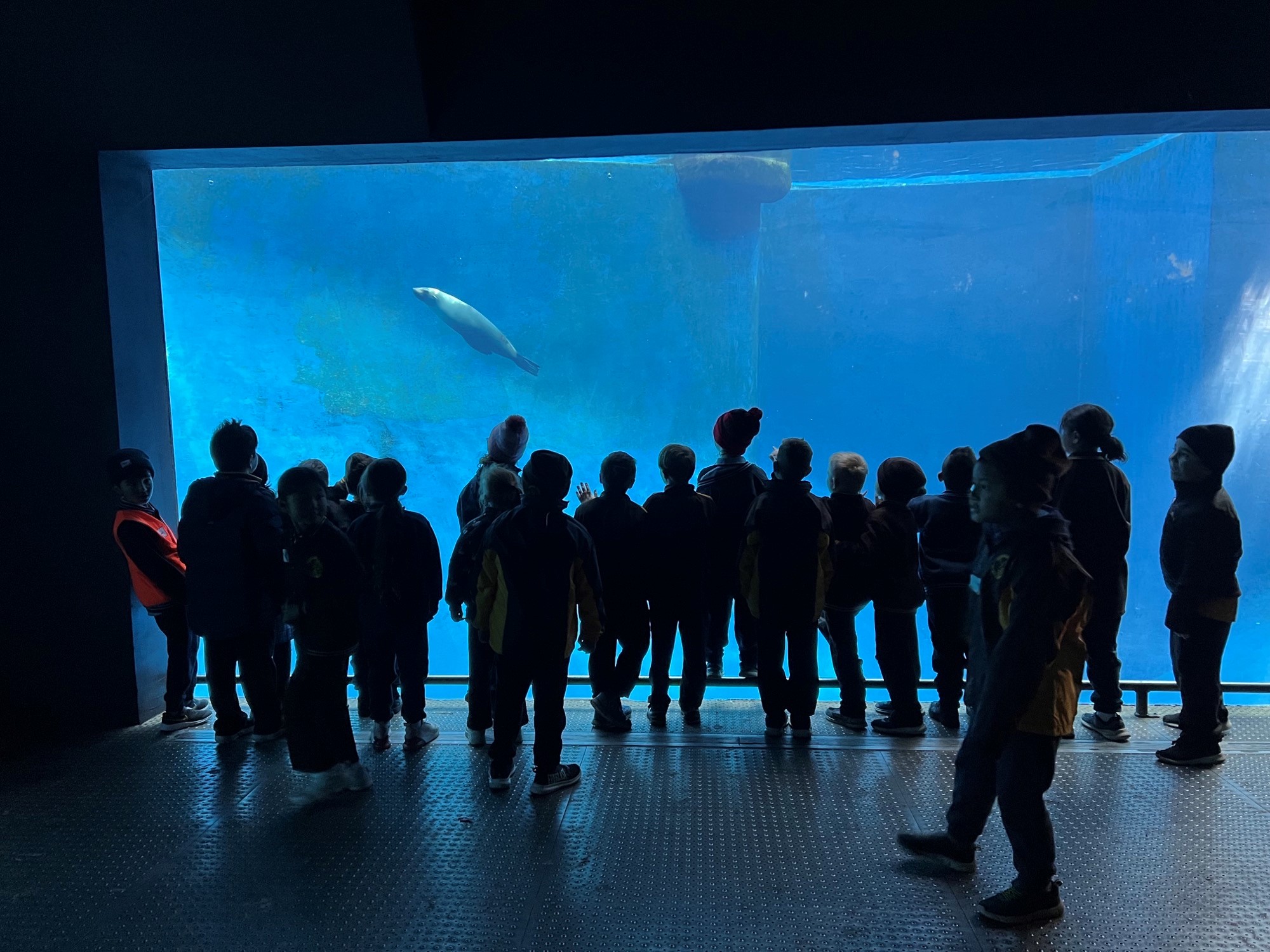 /uploaded_files/media/gallery/1659494484zoo 9.jpg